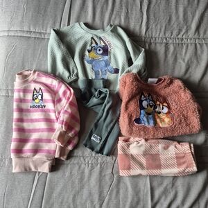 Toddler Bluey & Bingo Clothing- 2T